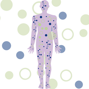 Cannabinoid Connection