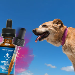 CBD Giving Hope to Canine's with Lymphoma